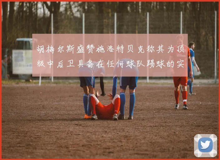 胡梅尔斯盛赞施洛特贝克称其为顶级中后卫具备在任何球队踢球的实力
