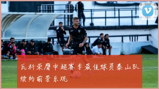 瓦科荣膺中超赛季最佳球员泰山队续约前景乐观